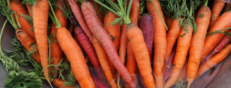 Carrots Featured 768x293 